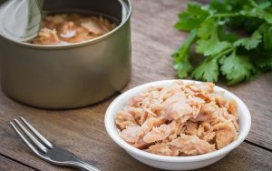 کنسرو تن ماهی بندر عباس