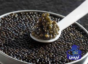 قیمت کنسرو خاویار مشهد + پخش تولیدی عمده کارخانه
