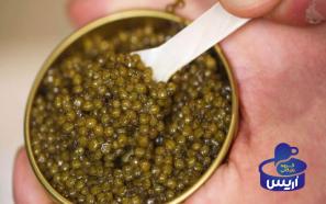 خرید و قیمت روز کنسرو خاویار ماهی