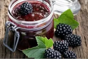 کنسرو مربای شاه توت بدونه هسته + بهترین قیمت خرید